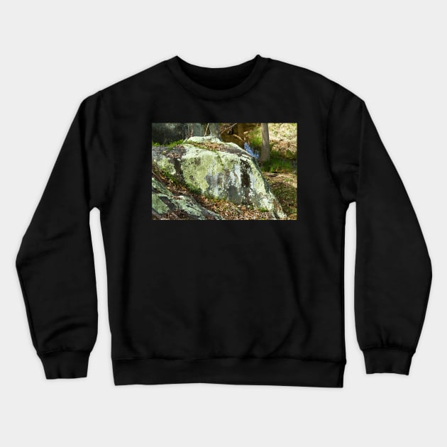 Boulder with lichen Crewneck Sweatshirt by thadz